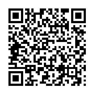 立刻找到了正在讲解校史内容的辅导员老师王雅君二维码生成