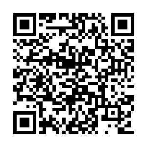 立刻把壁炉的设计原理跟田木匠详细的讲解一遍二维码生成