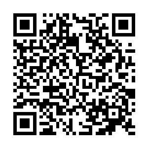 立刻把这一情况向主管卫生文教的副市长张广军作了汇报二维码生成