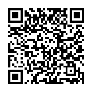 立刻提出了想要将家族少年精英弟子加入太虚宗的想法二维码生成