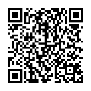 立刻猜到肯定是方才那个针管中注入他体内的东西起了作用二维码生成