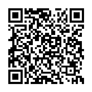 立刻释放出白熙颜送给他们两个人的攻击型仙符二维码生成