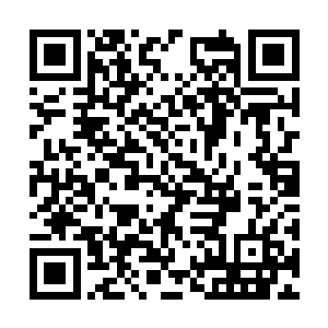 立即从口袋里掏出一把弹簧刀架在了苏凡的脖子上二维码生成