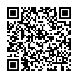 立即化成血蝶射向慌忙往后退去的流清茶和一脸米糊的萌星二维码生成