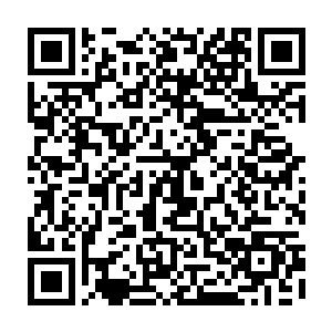 立即吸引了许多不死尸骸的注意力了……这些不死尸骸算起来应该是亡灵生物二维码生成