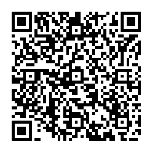 立即对着这些跟随着田川雄的小弟们大下杀手了……这一群人跟当初北鸟小次郎是差不多的二维码生成