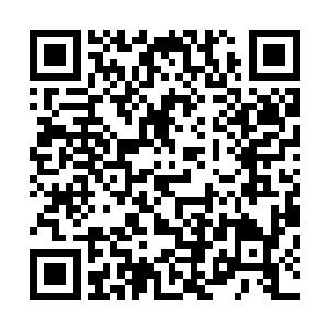 立即对着这条突然出现的凶横海兽发动了最为猛烈的进攻了二维码生成