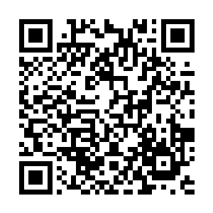 立即对那个红点使用了侦查技能的……人元金丹就在眼前二维码生成