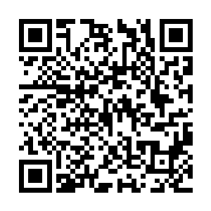 立即将私自闯入圣殿的飞云峰弟子长阳给我抓起来二维码生成