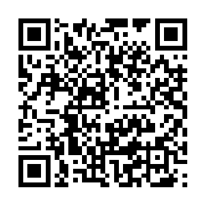 立即就冲上来几个美丽的辛巴族女人争着去拉黄富二维码生成