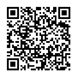 立即就可以调动其它术士的巫师塔进行联合防御二维码生成