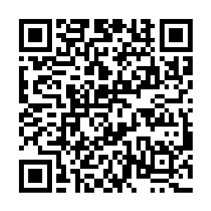 立即就在那墨蜈的神识里面将自己催眠成它的排泄物二维码生成