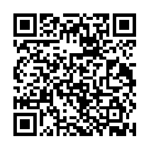 立即就见到了右手小臂上凝结出来了一层厚厚的冰层二维码生成