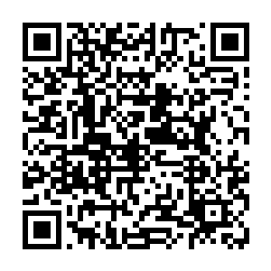 立即就见到了尸化巨象的另外一侧象牙上面的磷火再次飘飘荡荡的飞了过来二维码生成