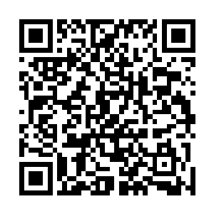 立即开始融合自己所感应到的所有属于圣光塔器灵的力量二维码生成