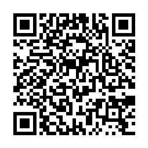立即张开嘴巴对着最前面的金甲蛮虫恶狠狠地咬过去二维码生成