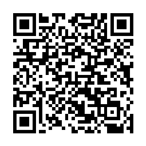 立即拉住了几个已经相处融洽的小姐妹开始嘀咕了起来二维码生成