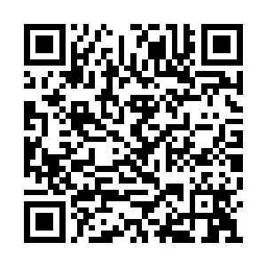 立即是化作一道烟雾融入了万骨楼楼主的本尊中二维码生成