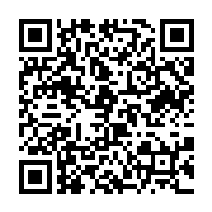 立即有两名身穿黑衣的护卫从飞行法宝上面跳了下来二维码生成