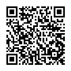 立即轰动了全场的……其中不少人都是感觉到了些许不妙了二维码生成