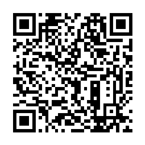 立时响起申屠元的傀儡的确有不少是半活物半傀儡制成二维码生成