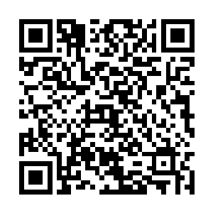 立马从手提包里取出一份草原乳业的产品介绍资料二维码生成