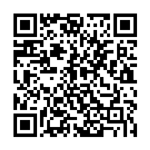 立马从自己的行囊里掏出一瓶生存值补充剂灌了下去二维码生成