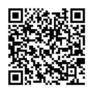 立马就感觉到了从这根毛笔上面传来的特殊的力量二维码生成