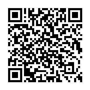 立马就是一股极为强大的力量冲着四周扩散出去二维码生成