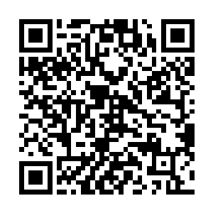 立马感觉到一只手掌心似乎是有种抓到了一个满头的感觉二维码生成