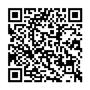 立马打起十二万分的精神进入备战状态般盯着她二维码生成