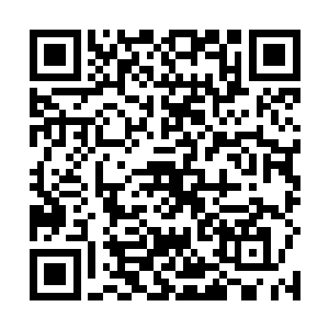 立马派出了家族当中的一部分强者进入杀戮界调查此事二维码生成