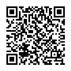 站到了地上伸开了手臂冲着天空大声吸了一口气二维码生成