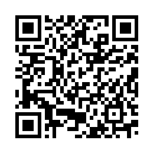 站在一小山头上的大树上不再逃走二维码生成