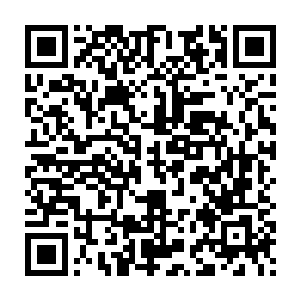 站在一旁的歌舞团团长朱江娥和宋州艺校的副校长张冬雷都是喜出望外二维码生成