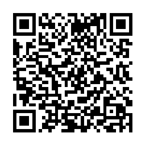 站在一旁的纳甲土尸也看到了铁笼里面的铁甲虎头鳄二维码生成