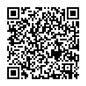 站在不远处冷眼旁观的鲁特明白……这位npc肯定是错把觉哥的召唤技能二维码生成