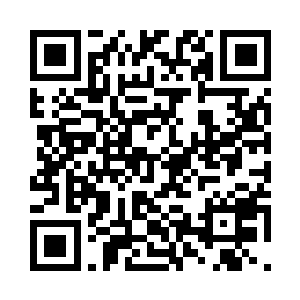 站在他们面前的五人顿时变成了刺猬二维码生成