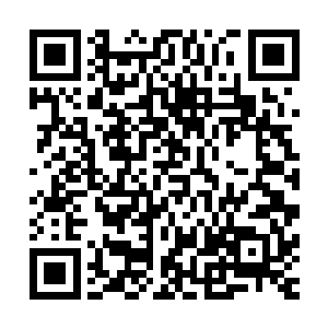 站在他身后的红毛僵尸此刻却是开始显露出了凶神恶煞的样子二维码生成