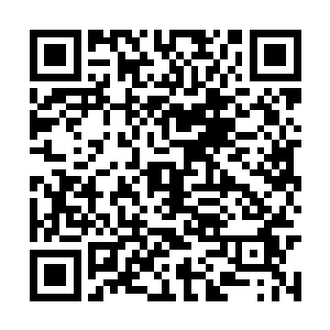 站在他身边的将领再也没有了刚才指点江山的豪气二维码生成
