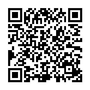站在刘子秋左侧的那个年轻人忽然对着卢向东一挑大拇指二维码生成