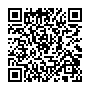 站在前方的是三十几个身上散着圣级气息的海族二维码生成
