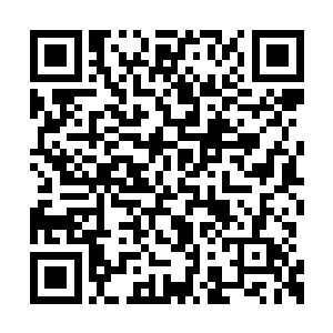 站在剑尘身后的蒋王副门主和五大长老心中一凛二维码生成