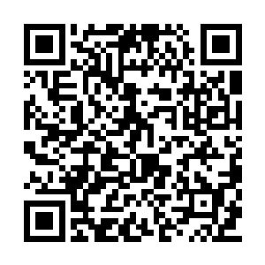 站在原地等着旋转木马把她带回到原地的那一刻二维码生成
