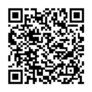 站在原地踌躇到底要不要现在把订婚的事告诉他二维码生成
