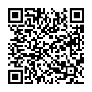 站在叶然身后的江天狐假虎威的对着庞辉雨叫嚣道二维码生成