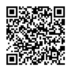 站在后面的齐轩四人全都将目光集中在了冷轩的身上二维码生成