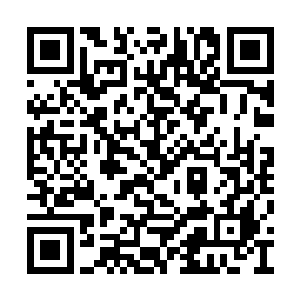 站在唐盈盈身后的两位领域强者也暗自开启领域二维码生成