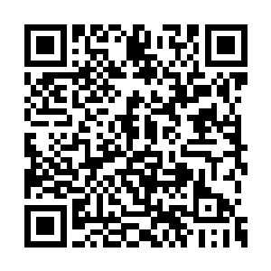 站在地面仅仅只是背高就要比他们还高出近四倍二维码生成
