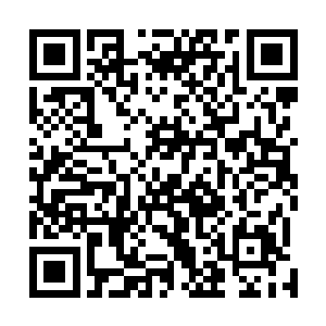 站在大古背上的他们已经可以看到融开的黑暗的空间之门二维码生成